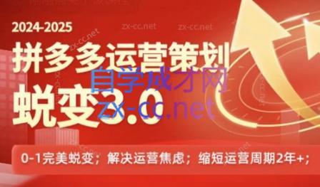 大力老师·2024拼多多运营策略蜕变3.0-氚客吧