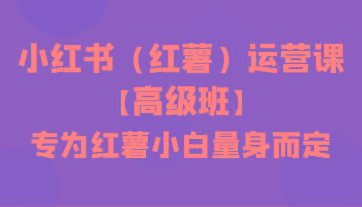 小红书(红薯)运营课【高级班】，专为红薯小白量身而定(42节课)-氚客吧