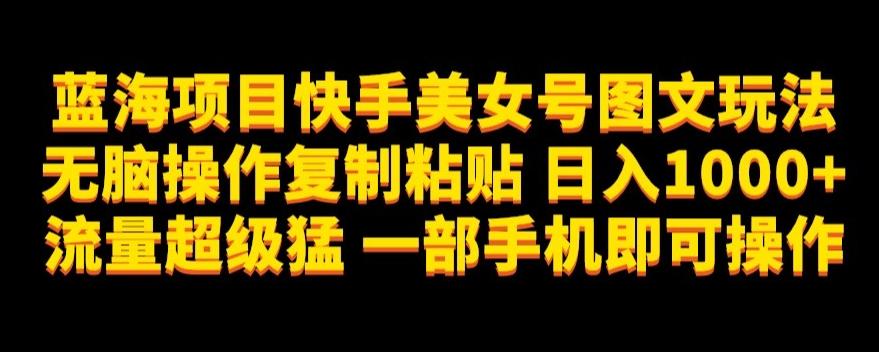 蓝海项目快手美女号图文玩法，无脑操作复制粘贴，日入1000+流量超级猛一部手机即可操作【揭秘】-氚客吧