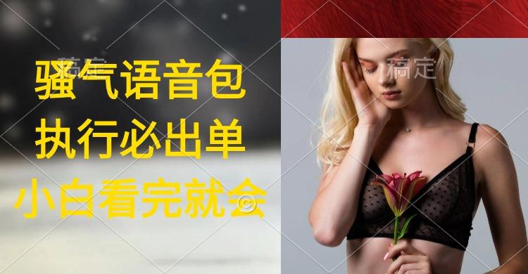 (9589期)执行就出单，日入2000+，超火骚气语音包，小白看完课程就能马上实操-氚客吧
