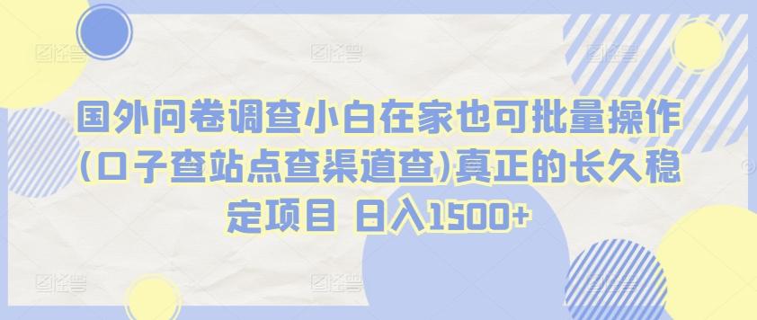 国外问卷调查小白在家也可批量操作(口子查站点查渠道查)真正的长久稳定项目 日入1500+【揭秘】-氚客吧