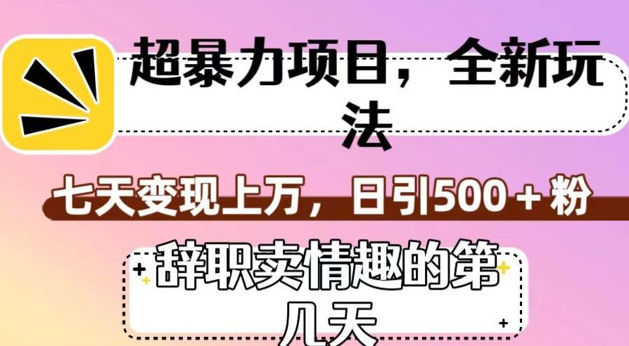 超暴利项目，全新玩法（辞职卖情趣的第几天），七天变现上万，日引500+粉【揭秘】-氚客吧