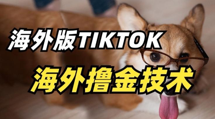抖音海外版tiktok撸金技术，这个风口行业，赚钱真的不难【揭秘】-氚客吧