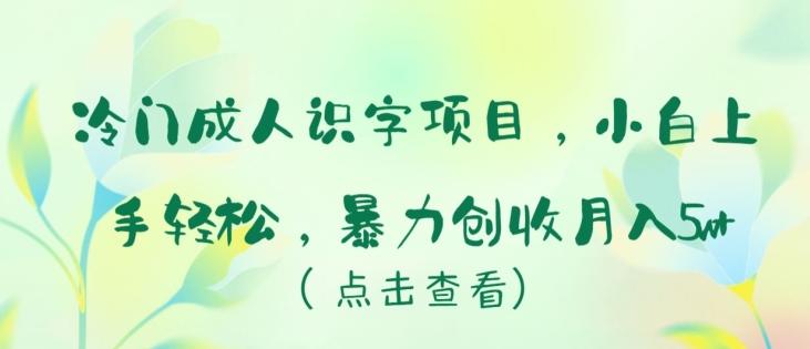 冷门成人识字项目，小白上手轻松，暴力创收月入5w+【揭秘】-氚客吧
