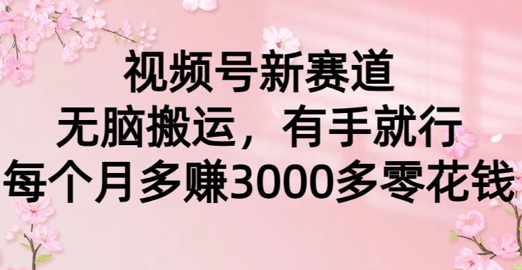 (9278期)视频号新赛道，无脑搬运，有手就行，每个月多赚3000多零花钱-氚客吧