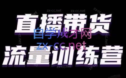 婉婉·直播带货课程系列合集(更新8月)-氚客吧