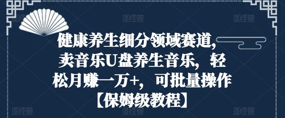 健康养生细分领域赛道，卖音乐U盘养生音乐，轻松月赚一万+，可批量操作【保姆级教程】-氚客吧