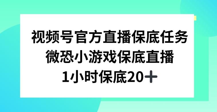 视频号直播任务，微恐小游戏，1小时20+【揭秘】-氚客吧