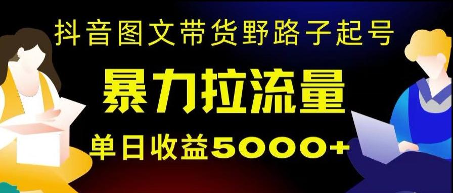 抖音图文带货暴力起号，单日收益5000+，野路子玩法，简单易上手，一部手机即可【揭秘】-氚客吧