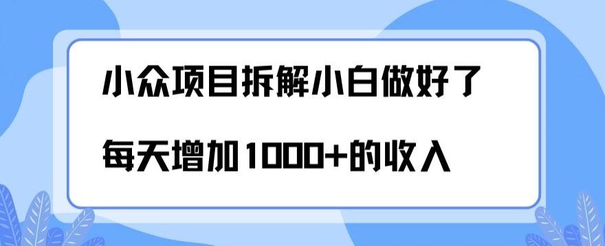 小众项目拆解，小白做好了每天可增加1000多的收入-氚客吧