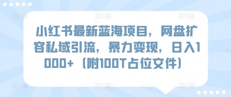 小红书最新蓝海项目，网盘扩容私域引流，暴力变现，日入1000+(附100T占位文件)【揭秘】-氚客吧