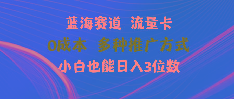 蓝海赛道 流量卡 0成本 小白也能日入三位数-氚客吧