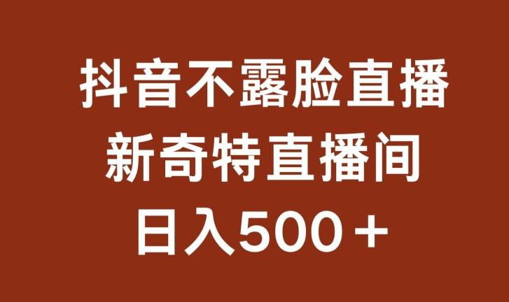 不露脸挂机直播，新奇特直播间，日入500+【揭秘】-氚客吧