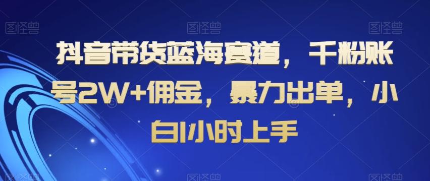抖音带货蓝海赛道，千粉账号2W+佣金，暴力出单，小白1小时上手【揭秘】-氚客吧