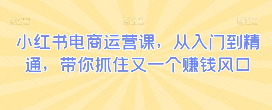 小红书电商运营课，从入门到精通，带你抓住又一个赚钱风口-氚客吧