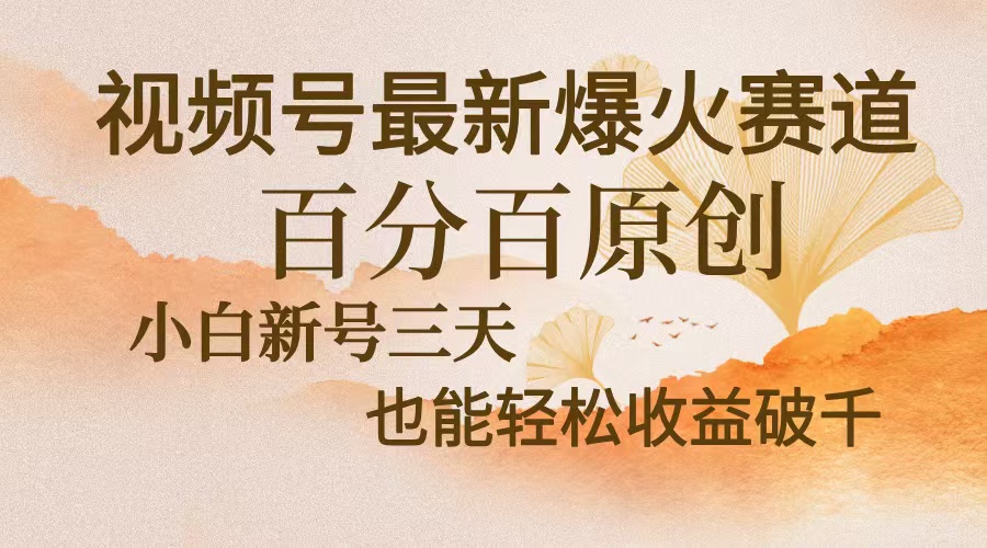 视频号最新爆火赛道，中老年粉深信不疑，百分百原创，新号三天收益轻松…-氚客吧