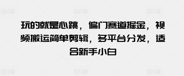 玩的就是心跳，偏门赛道掘金，视频搬运简单剪辑，多平台分发，适合新手小白【揭秘】-氚客吧