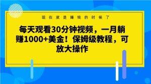 每天观看30分钟视频，一月躺赚1000+美金！保姆级教程，可放大操作【揭秘】-氚客吧