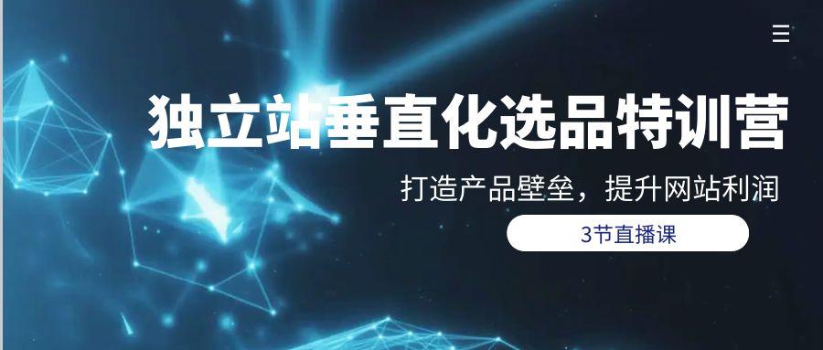 (9925期)独立站-垂直化选品训练营，打造产品壁垒，提升网站利润(3节直播课)-氚客吧