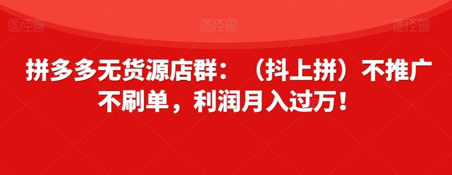 拼多多无货源店群：（抖上拼）不推广不刷单，利润月入过万！【揭秘】-氚客吧