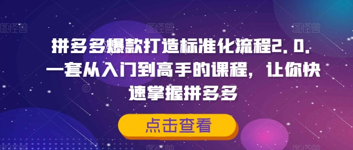 拼多多爆款打造标准化流程2.0，一套从入门到高手的课程，让你快速掌握拼多多-氚客吧