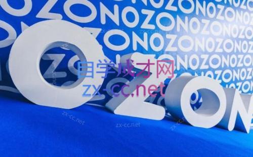 森哥·出海俄罗斯电商实操(2024)-氚客吧