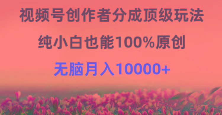 (9608期)视频号创作者分成顶级玩法，纯小白也能100%原创，无脑月入10000+-氚客吧