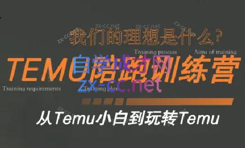 苗苗·拼多多跨境（temu）课程-氚客吧