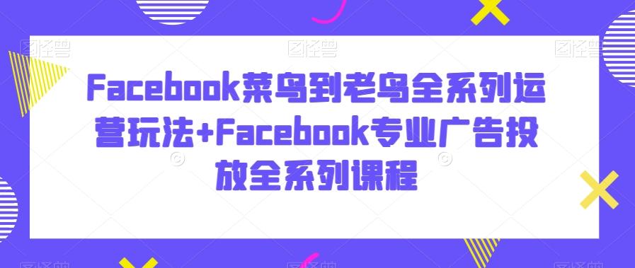 Facebook菜鸟到老鸟全系列运营玩法+Facebook专业广告投放全系列课程-氚客吧