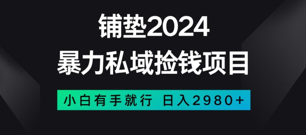 暴力私域捡钱项目，小白无脑操作，日入2980【揭秘】-氚客吧