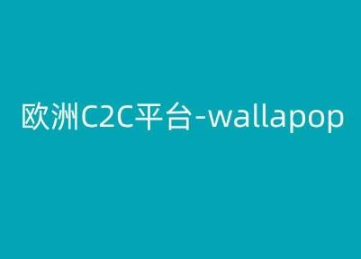欧洲C2C平台-wallapop-kim跨境电商教程-氚客吧