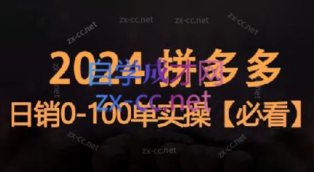 恒哥·2024拼多多日销0-100单实操-氚客吧