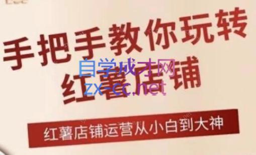 海燕老师·2024手把手教你玩转红薯店铺-氚客吧