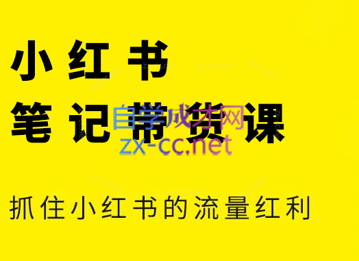 张宾·小红书笔记带货课(更新24年7月)-氚客吧
