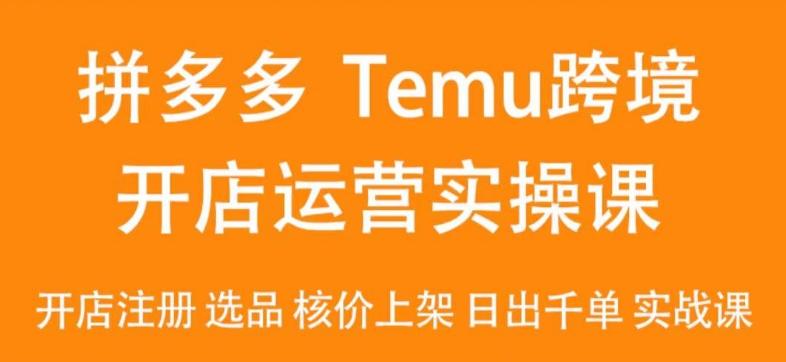 2024Temu最新玩法，Temu跨境开店运营实操课，开店注册/选品/核价上架/日出千单实战课-氚客吧