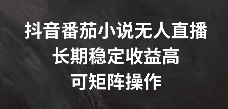 抖音番茄小说无人直播，长期稳定收益高，可矩阵操作【揭秘】-氚客吧
