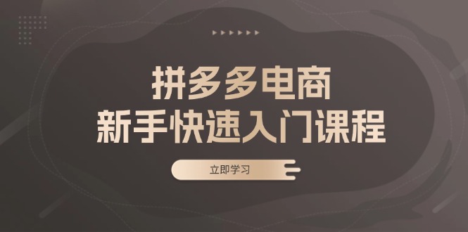 拼多多电商新手快速入门课程：涵盖基础、实战与选款，助力小白轻松上手-氚客吧