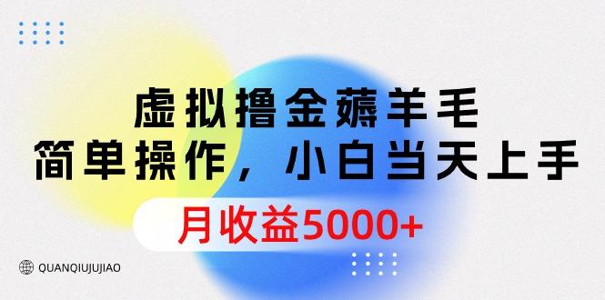 (9864期)虚拟撸金薅羊毛，简单操作，小白当天上手，月收益5000+-氚客吧