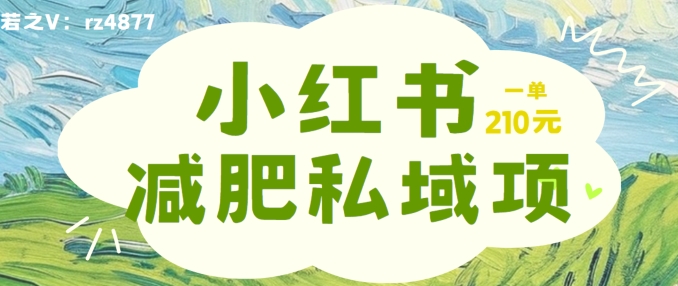 小红书减肥粉，私域变现项目，一单就达210元，小白也能轻松上手【揭秘】-氚客吧