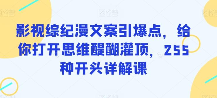 影视综纪漫文案引爆点，给你打开思维醍醐灌顶，255种开头详解课-氚客吧