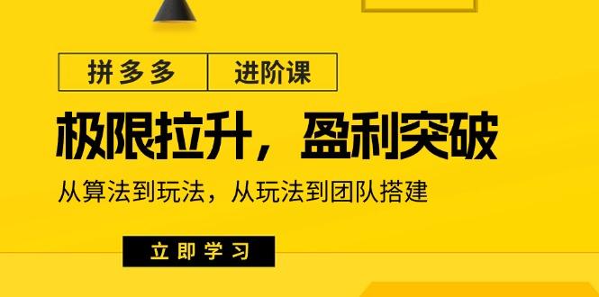 拼多多·进阶课：极限拉升/盈利突破：从算法到玩法 从玩法到团队搭建-18节-氚客吧