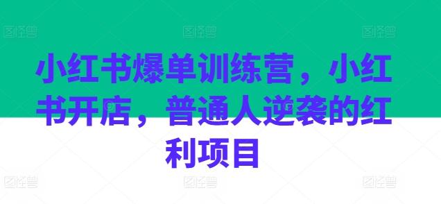 小红书爆单训练营，小红书开店，普通人逆袭的红利项目-氚客吧