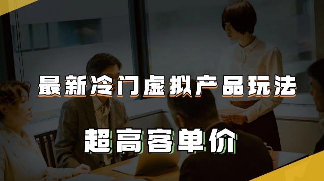 最新冷门虚拟产品玩法，超高客单价，月入2-3万＋【揭秘】-氚客吧
