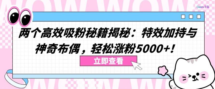 两个高效吸粉秘籍揭秘：特效加持与神奇布偶，轻松涨粉5000+【揭秘】-氚客吧