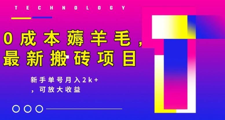 0成本薅羊毛，最新搬砖项目，新手单号月入2k+，可放大操作-氚客吧