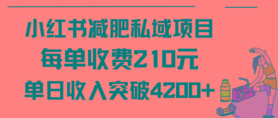 (9466期)小红书减肥私域项目每单收费210元单日成交20单，最高日入4200+-氚客吧