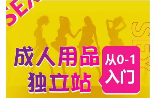 成人用品独立站从0-1入门，成品独立站运营全流程教学，七大好卖成品独立站推荐-氚客吧