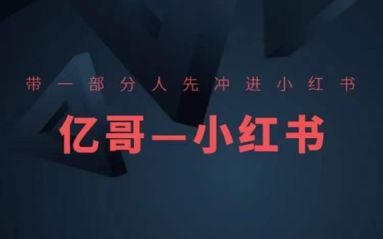 ​​带一部分人先冲进小红书，小红书开店、选品、爆款裂变-氚客吧