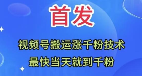 全网首发：视频号无脑搬运涨千粉技术，最快当天到千粉【揭秘】-氚客吧