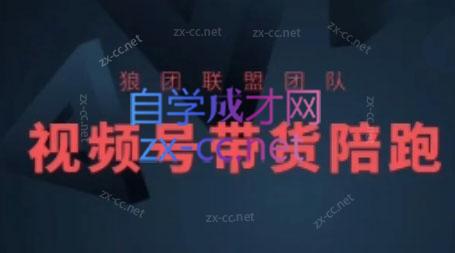 狼团联盟·2024视频号带货-氚客吧